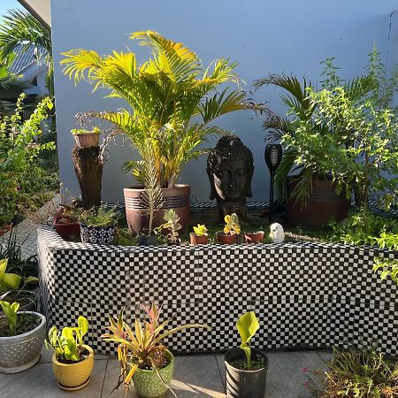 Pasifika Guesthouse ナンディ エクステリア 写真
