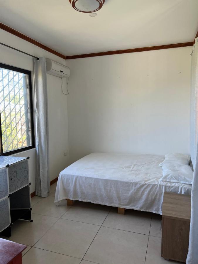 Pasifika Guesthouse ナンディ エクステリア 写真