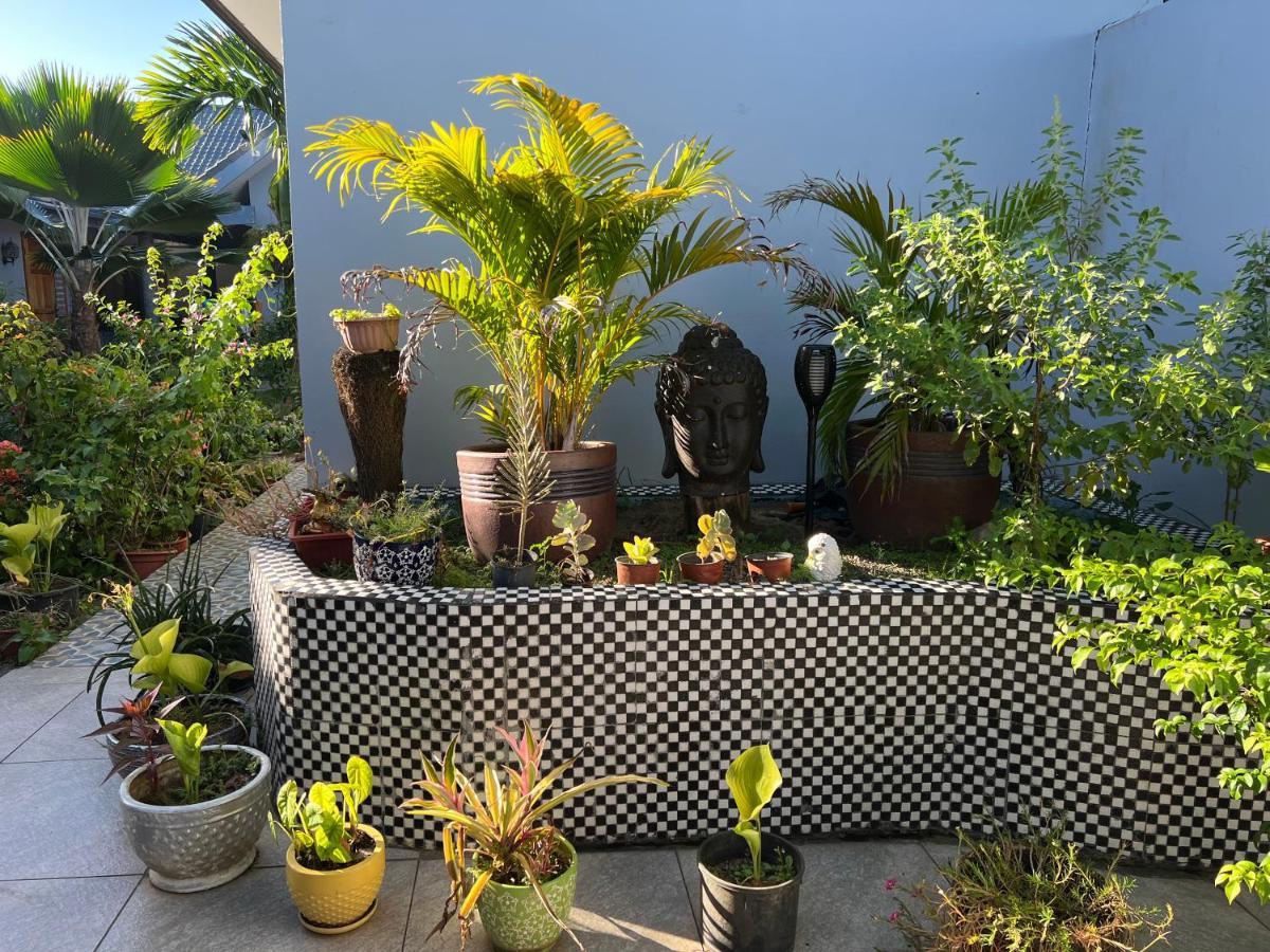 Pasifika Guesthouse ナンディ エクステリア 写真